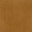 Limba2