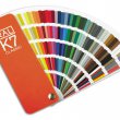 Paleta RAL za dopłatą