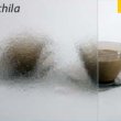 szyba chinchila
