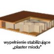 plaster miodu