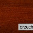 orzech włoski