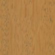 limba 1