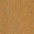 limba 1