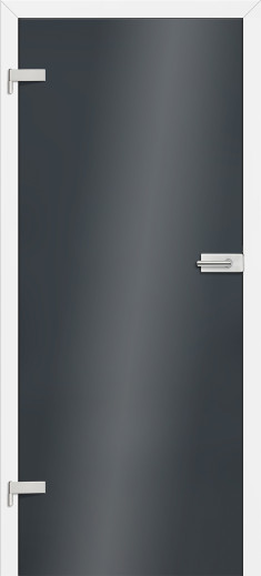  Drzwi szklane Graf 26 (ERKADO)