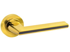  Daniela R4 12-829 (ROOTHKIN)