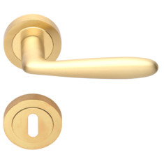   Clara Klucz Złoty (VDS)