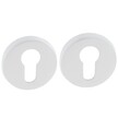 Rozeta R5 R5 (CONVEX)