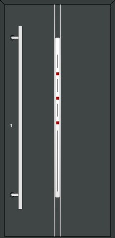Drzwi Diplomat 1F (VIKKING)