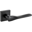 Vidal QR15 12-836 (ROOTHKIN)