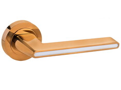  Daniela R4 12-828 (ROOTHKIN)