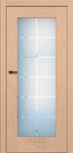 Vinci 1 (ASILO)