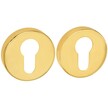 Rozeta R5 R5 (CONVEX)