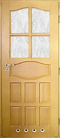 Drzwi DREWNIANE DW 25 (CZAJKA)